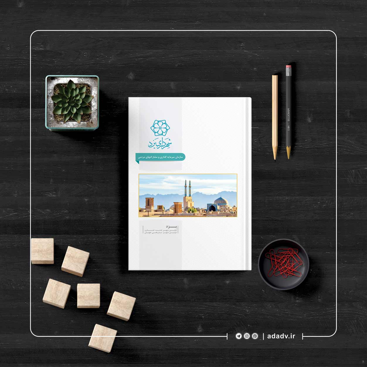 portfolio